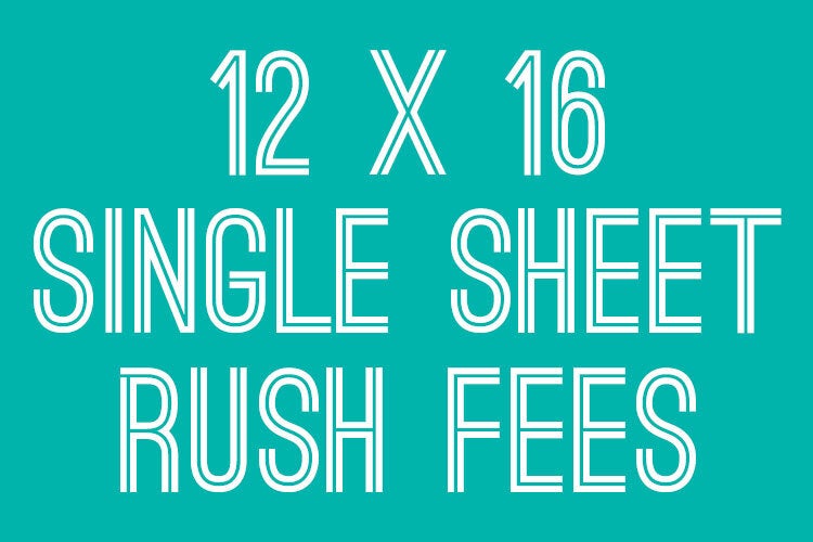 12" x 16" Single Sheet DTF Rush Fees Shine Daily Vinyl Market